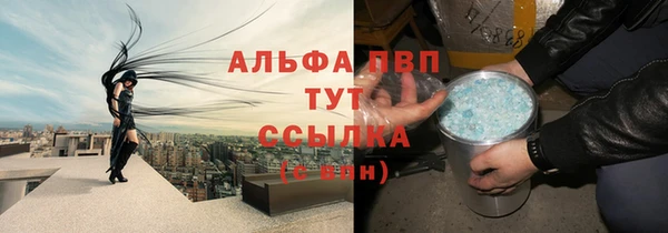 стафф Алексин
