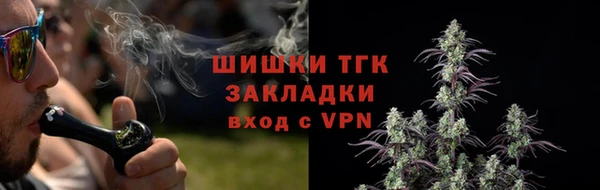 spice Алексеевка