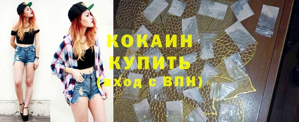 стафф Алексин